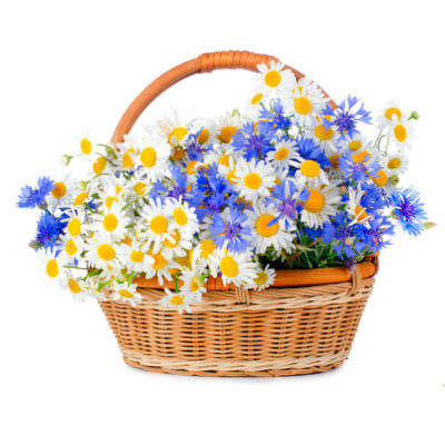 Цветы в корзине "Весенний луг"