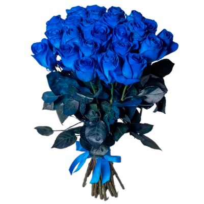 Розы Кения синие
